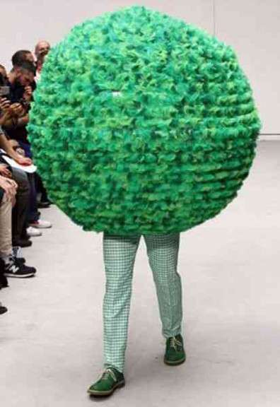 もこもこな画像が集まるトピ