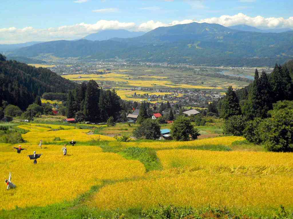 田んぼ、棚田の風景を見るのが好きな方