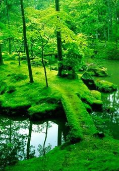 美しい日本語と写真を楽しむトピ
