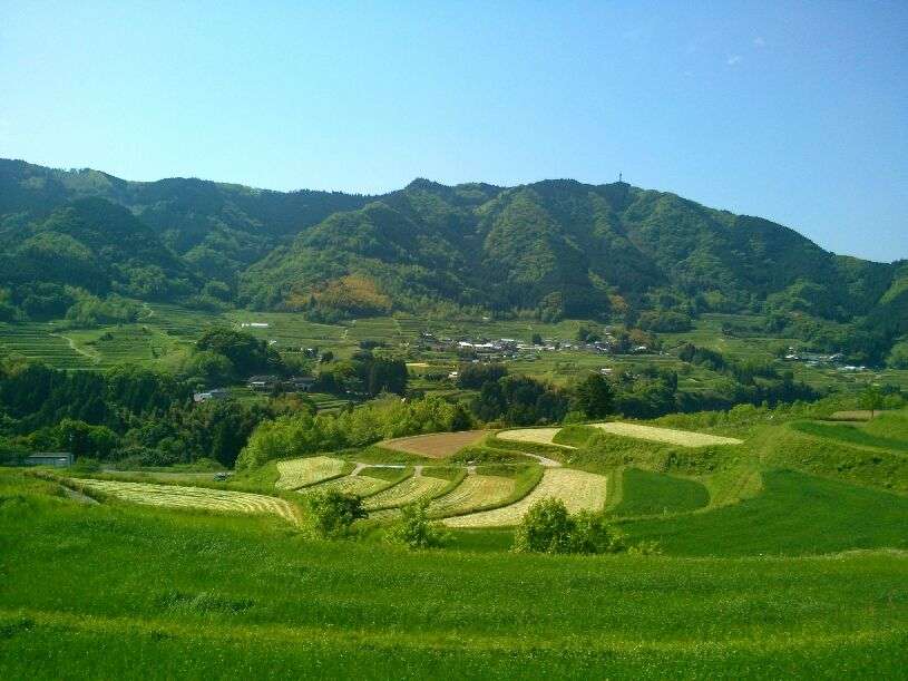 田んぼ、棚田の風景を見るのが好きな方
