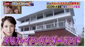 1貫5千円のすし店に行くセレブモデル・斉藤アリスに出演者から大ブーイング