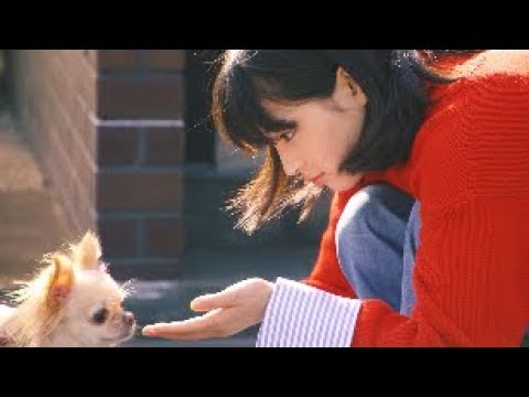 広瀬すず 戌年に犬とつくる年賀状（メイキング）｜フジカラー写真年賀状 - YouTube
