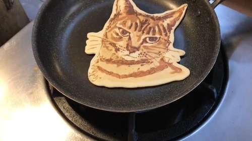 ガルちゃん猫カフェ21号店 開店しました♪ (初めての方も大歓迎!)