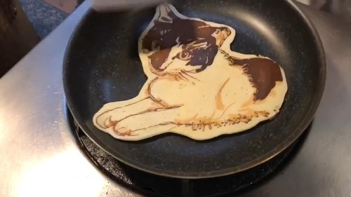ガルちゃん猫カフェ21号店 開店しました♪ (初めての方も大歓迎!)