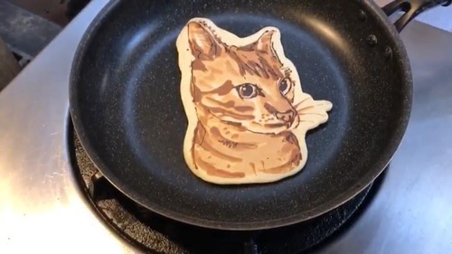 ガルちゃん猫カフェ21号店 開店しました♪ (初めての方も大歓迎!)