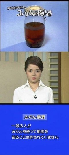 飲んだことあるお酒にプラス