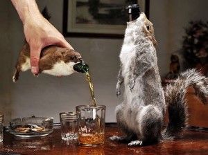 いろんな酒瓶を見たい!