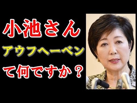 聞いたことはあるけど意味が分からない言葉を挙げるトピpart2