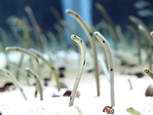 「＃いいにくいことをいう日」に企業公式Twitterの本音が殺到