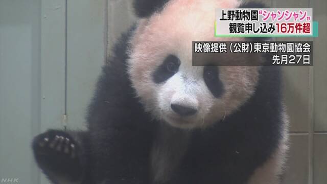 シャンシャンの観覧申し込み 2日で16万件超え | NHKニュース