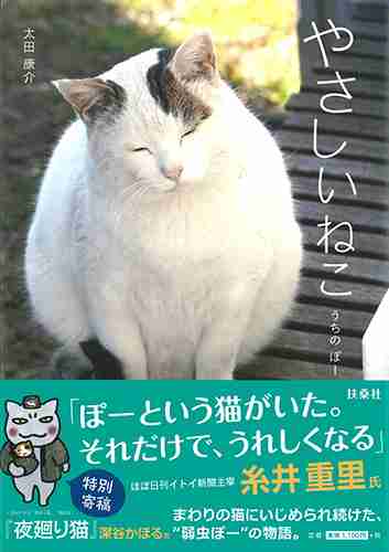 ガルちゃん猫カフェ21号店 開店しました♪ (初めての方も大歓迎！)