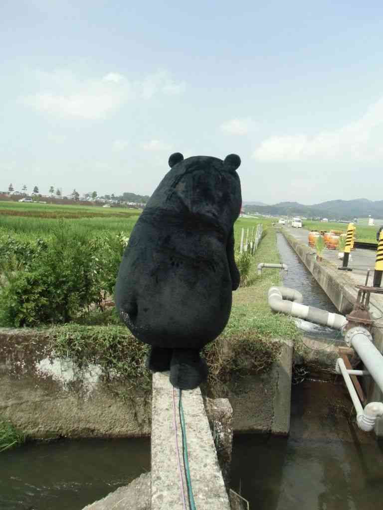 後ろ姿がカッコいい画像選手権