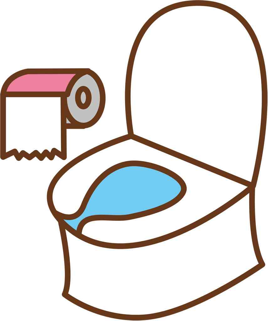 急げ！トイレの洋式化＝訪日客増加で自治体調査へ－観光庁