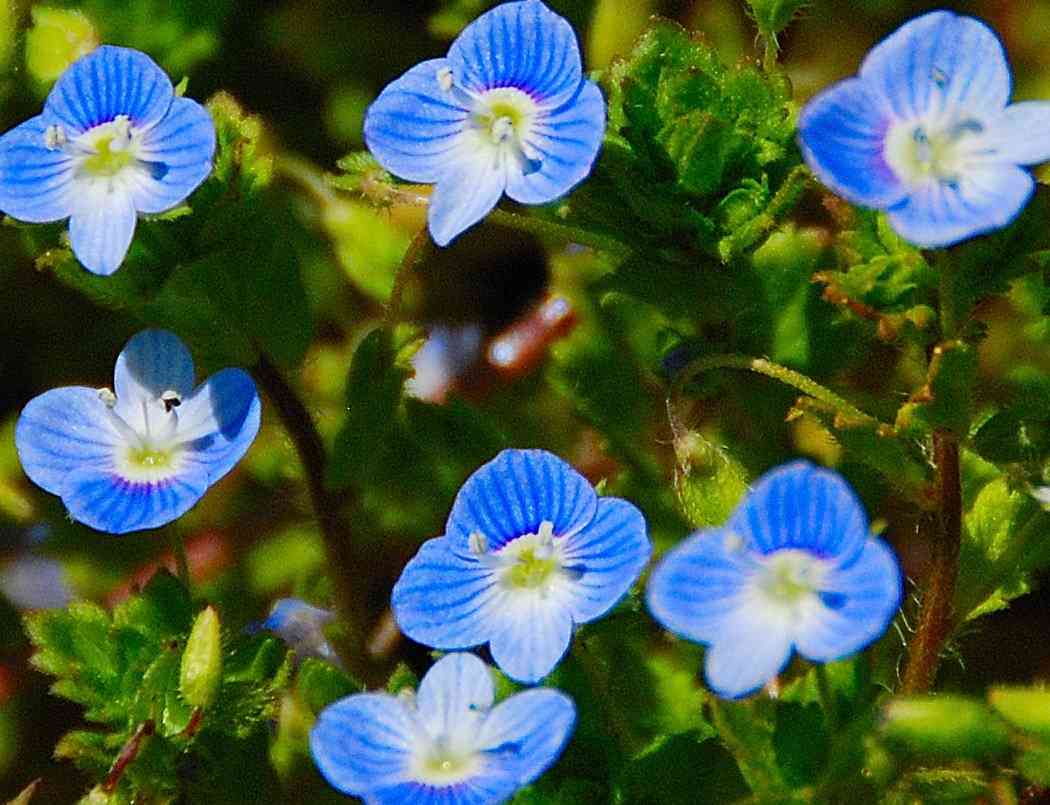 【年越し】雑談 スギちゃんみたいに喋るぜぇ2017~2018【シーズン19】