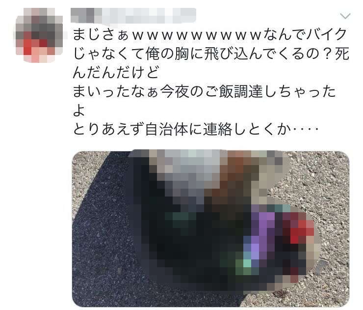 【年越し】雑談 スギちゃんみたいに喋るぜぇ2017~2018【シーズン19】