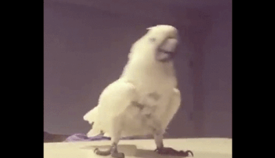 【年越し】雑談 スギちゃんみたいに喋るぜぇ2017~2018【シーズン19】