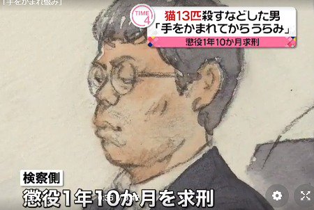 猫13匹虐待、元税理士に有罪判決「動物愛護に反する」