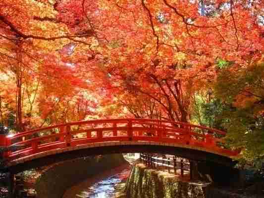 素敵な画像で癒されて月曜日を迎えたい