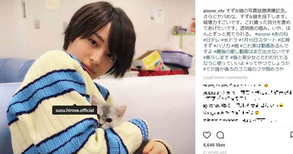 猫を抱く広瀬すずが美少女すぎると話題　「猫になりたい」の声続出 – しらべぇ ｜ 気になるアレを大調査ニュース！