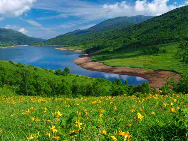 素敵な画像で癒されて月曜日を迎えたい