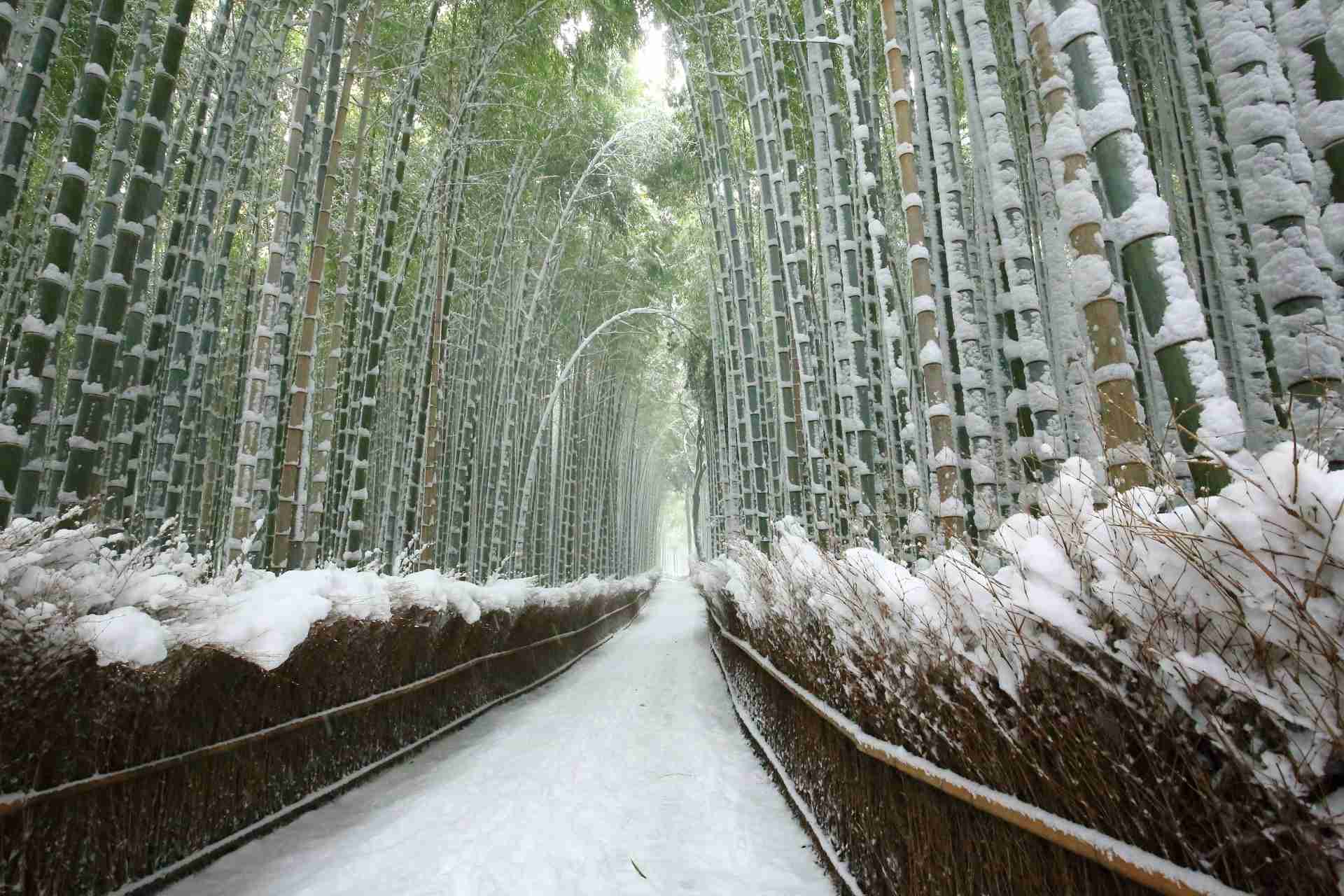 素敵な画像で癒されて月曜日を迎えたい