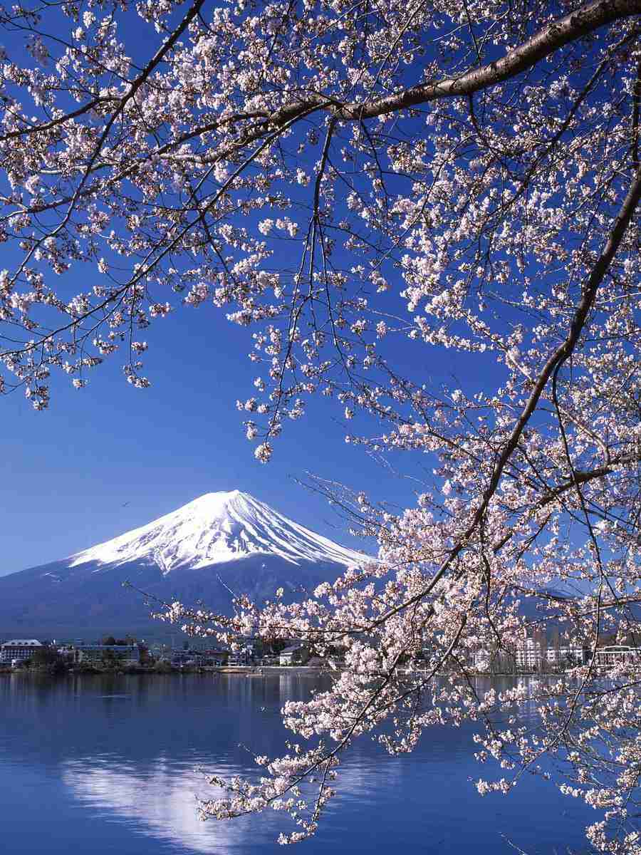 素敵な画像で癒されて月曜日を迎えたい