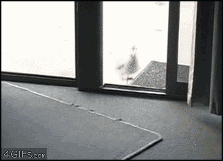 不覚にもドキドキしてしまったもの