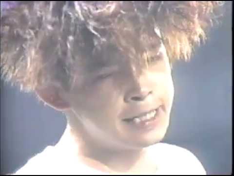 ユニコーン　I'M A LOSER～SUGAR BOYオールナイトフジ 1988 0813 - YouTube
