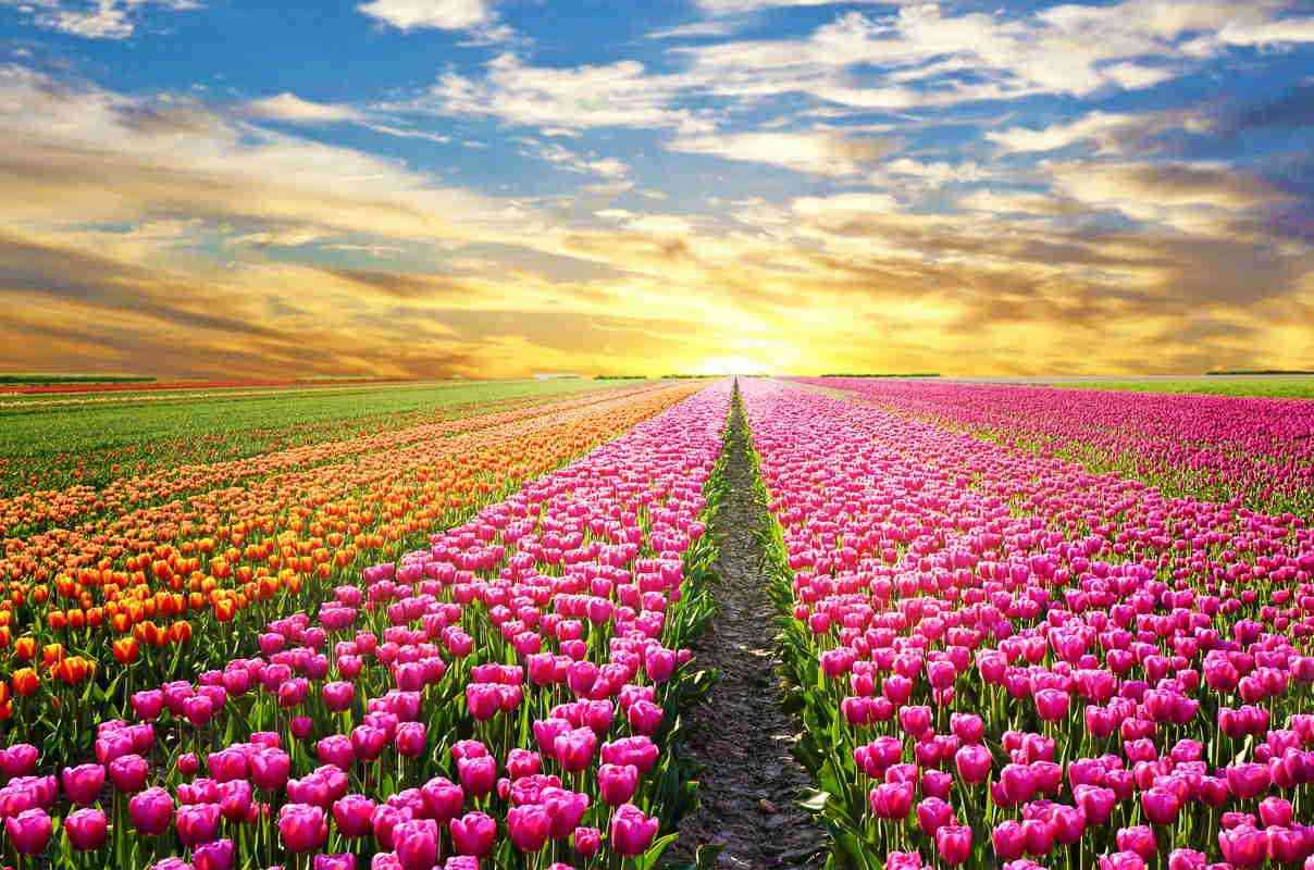 素敵な画像で癒されて月曜日を迎えたい