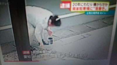 25年にわたって隣家に嫌がらせ、81歳の女を逮捕したが…　発端は1センチの間違い
