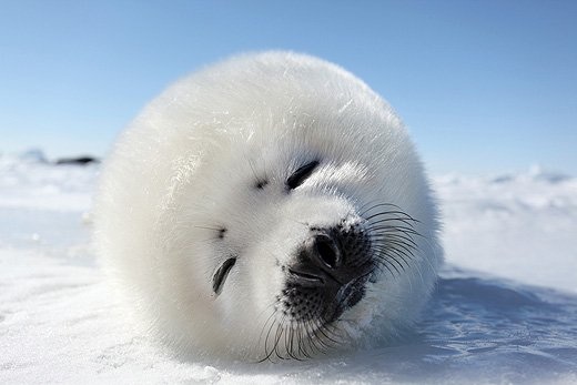 素敵な画像で癒されて月曜日を迎えたい