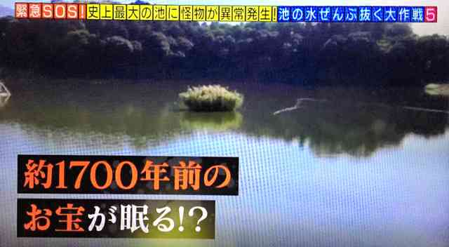 箸墓古墳隣接の「池の水抜く」放送中止　地元が協力断る：朝日新聞デジタル