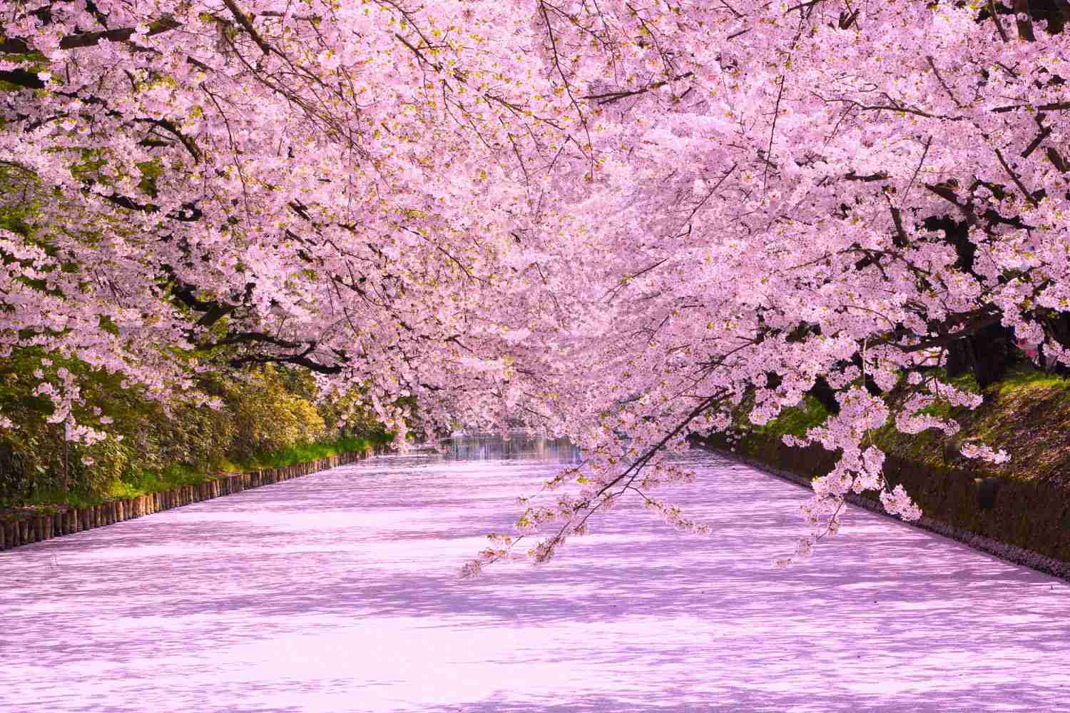 素敵な画像で癒されて月曜日を迎えたい