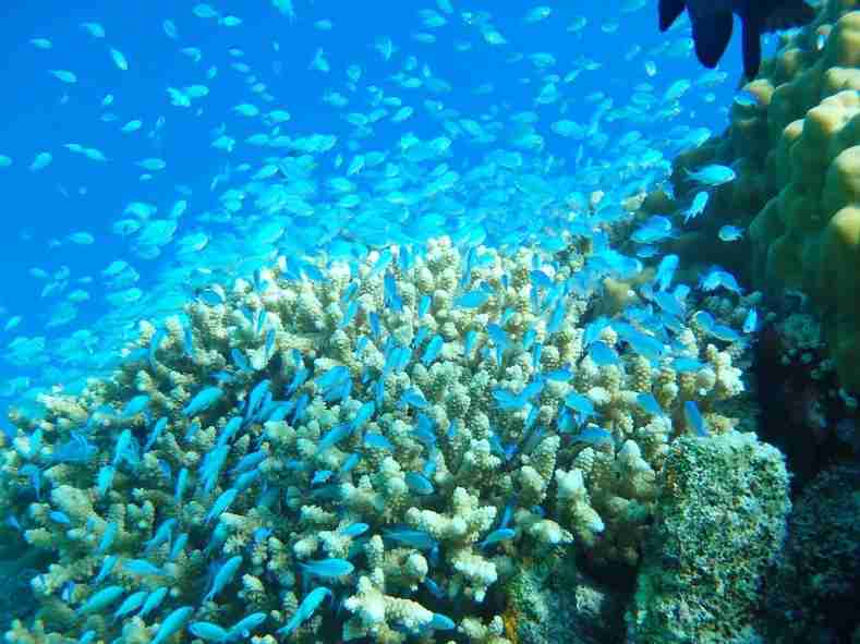 素敵な画像で癒されて月曜日を迎えたい