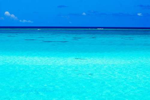 素敵な画像で癒されて月曜日を迎えたい