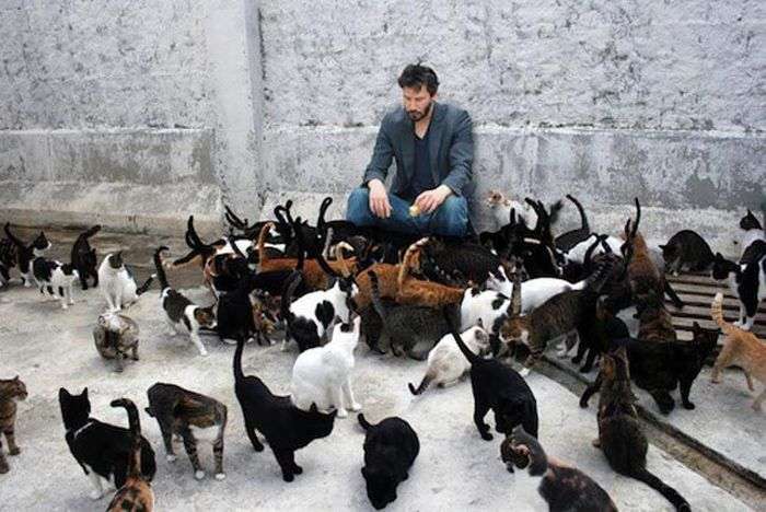 【年越し】雑談 スギちゃんみたいに喋るぜぇ2017~2018【シーズン19】