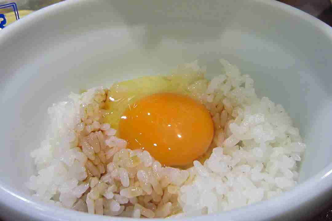 ガルちゃん猫カフェ21号店 開店しました♪ (初めての方も大歓迎！)