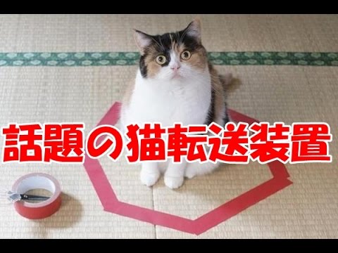 【年越し】雑談 スギちゃんみたいに喋るぜぇ2017~2018【シーズン19】