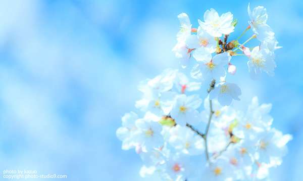 素敵な画像で癒されて月曜日を迎えたい