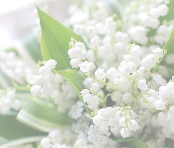 素敵な画像で癒されて月曜日を迎えたい