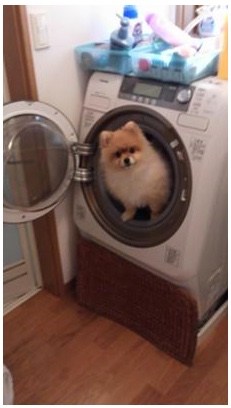 【年越し】雑談 スギちゃんみたいに喋るぜぇ2017~2018【シーズン19】