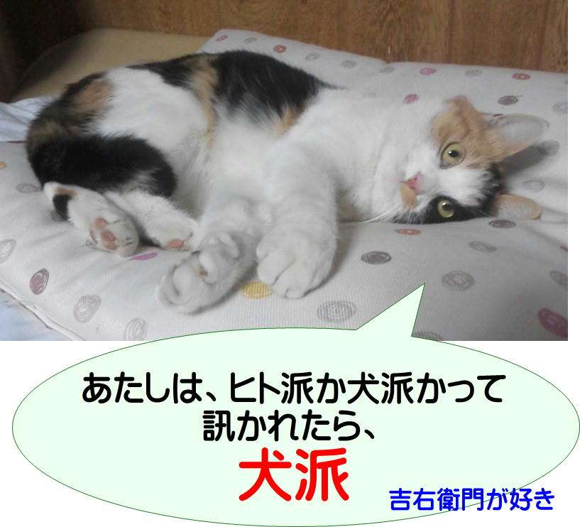 犬派？猫派？鳥派？