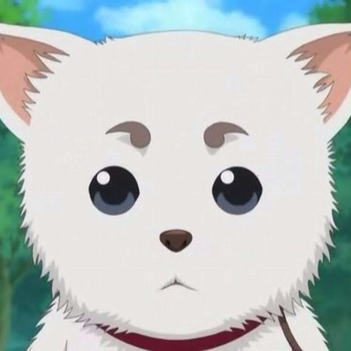 人間以外のアニメキャラ、一つ飼えるとしたら何にする？