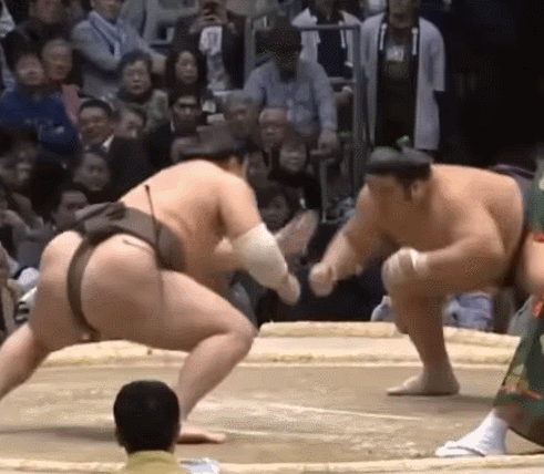 白鵬、節目の場所に向け立ち合いの悪癖改善へ