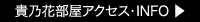 部屋便り┃貴乃花部屋 TAKANOHANA BEYA