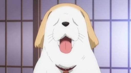 人間以外のアニメキャラ、一つ飼えるとしたら何にする？