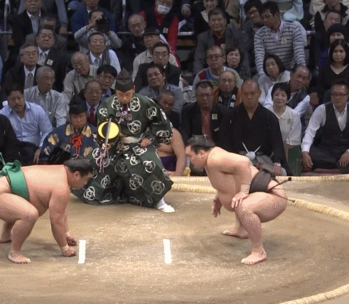 白鵬、節目の場所に向け立ち合いの悪癖改善へ