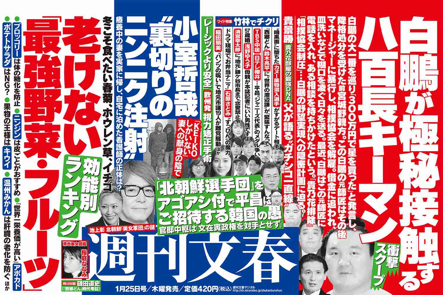 週刊文春2018年1月25日号 | 最新号 - 週刊文春WEB