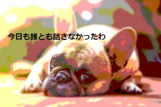 旦那が休み以外の日は殆ど誰とも話すことがない方！