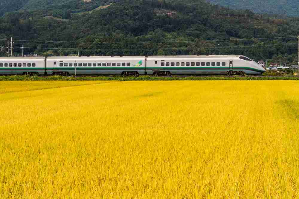 田舎の画像で癒されるトピ